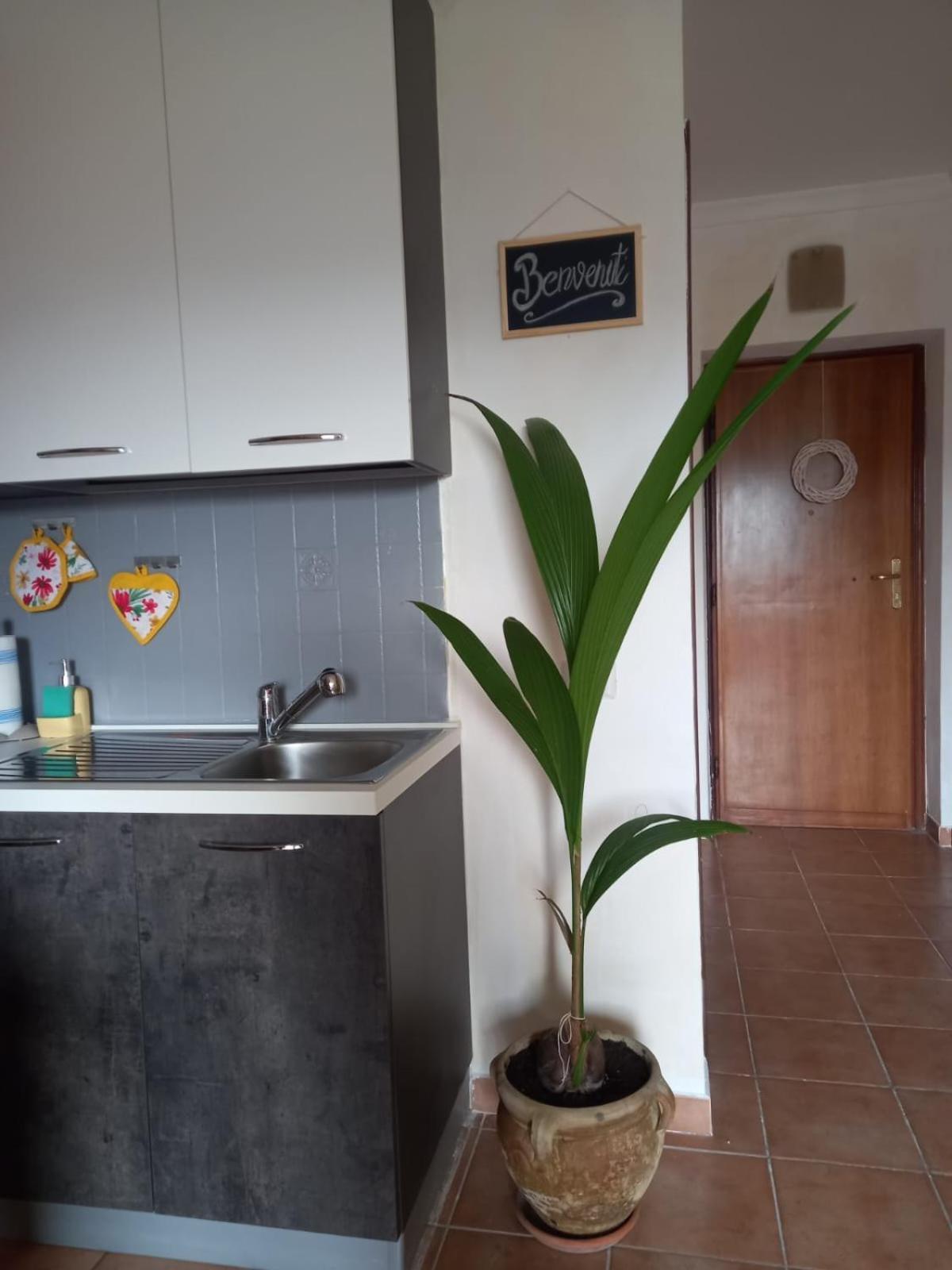 Apartament Antica Fonte Montefranco Zewnętrze zdjęcie